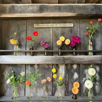 ダリア,銀河庭園,季節の花,お花のある暮らし,秋の気配の画像