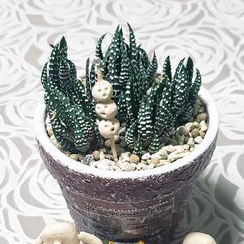 DIY,リメ缶の穴あけの画像