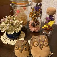 ドライフラワー,熊本,熊本から,幸せを呼ぶフクロウ祭り,リハビリ日の画像