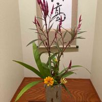 畑の花達,和室の画像