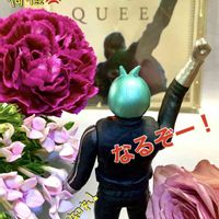 照明と植物,スマホ撮影,がんに負けるな！,ライダー1号,ブーケの画像