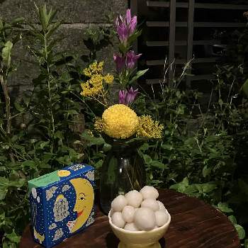 スーパーベル レモンスライスの画像