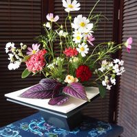 コスモス,庭の花,花を飾る,花のある暮らし,生け花の画像