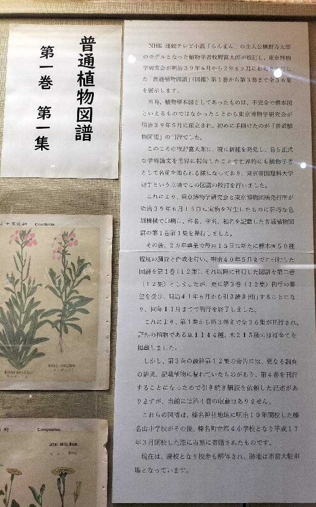 普通植物図譜」の展示｜🍀GreenSnap（グリーンスナップ）