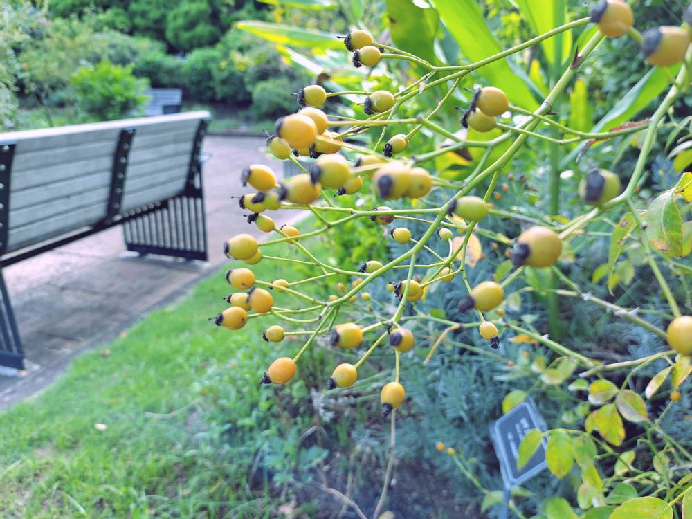 エリィさんの港の見える丘公園への投稿