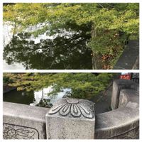 モミジ,ふぞろいの果実たちの画像