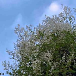 半分そら,白い水曜日♡,お出かけ先の画像