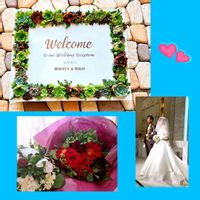 多肉植物,多肉の寄せ植え,多肉大好き,寄せ植え,ウエディングボードの画像