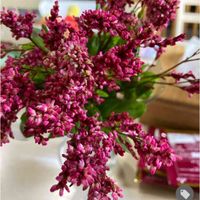 藍の花,アイ,アイタデ,蓼藍(タデアイ),切り花の画像