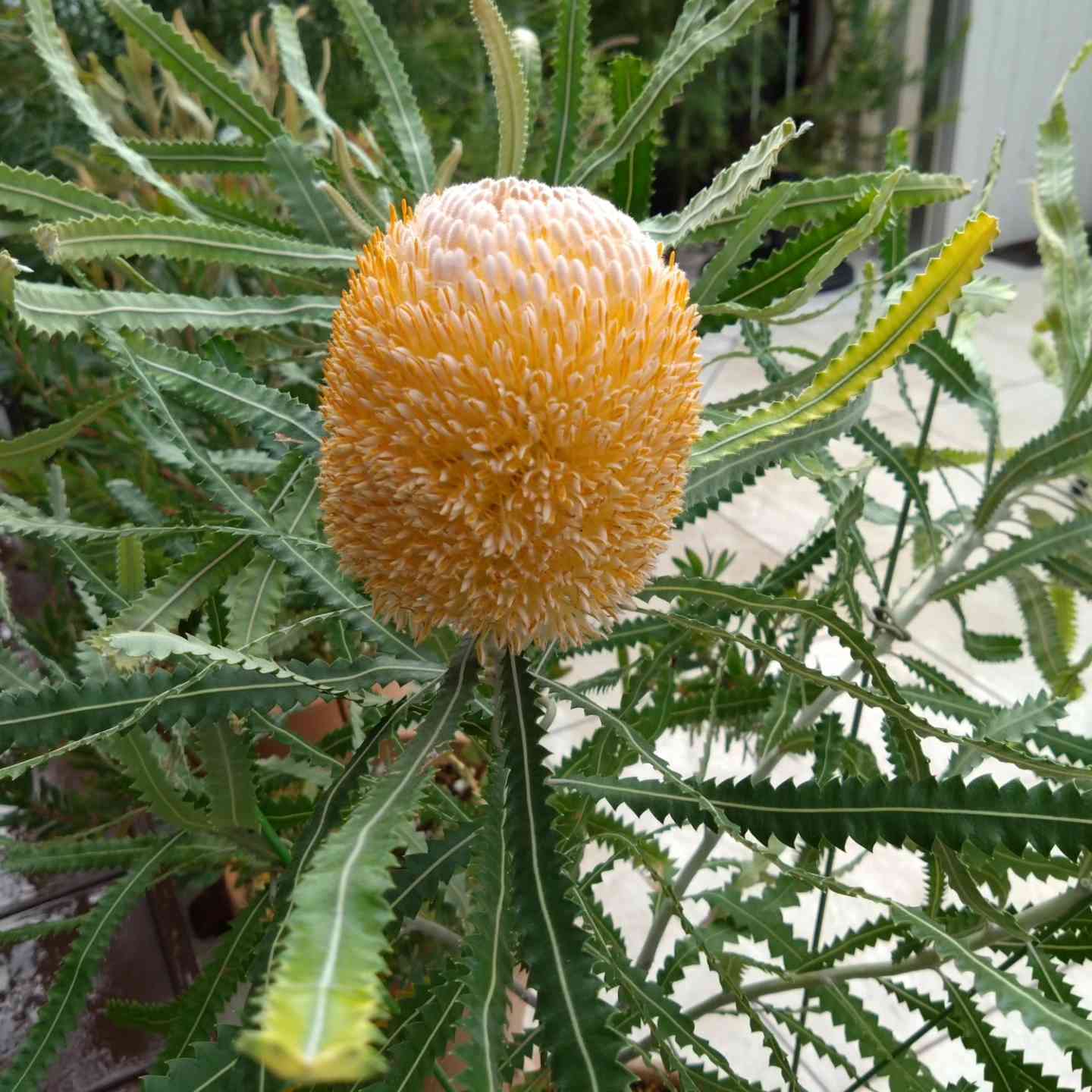 1696646198154_940026_20231007_