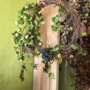 サンキライ,ナンキンハゼ,ヤマノイモ,実のなる植物,ドライフラワー リースの画像
