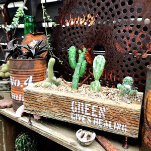 サボテン科,ジャンクガーデン,ステンシル,cactus,小さな庭の画像