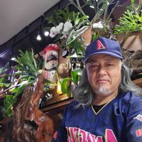 流木,インテリアグリーン,ビフルカツム,大型観葉植物,流木アレンジの画像