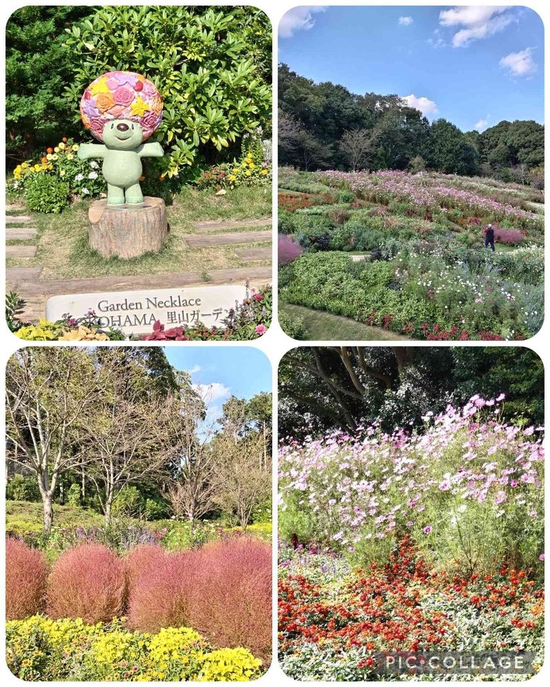 ユリコさんの里山ガーデン（大花壇）への投稿