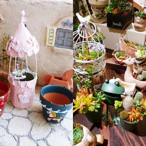 多肉植物,テラコッタ鉢,多肉植物の鉢,小さな鉢,月の手しごとの画像