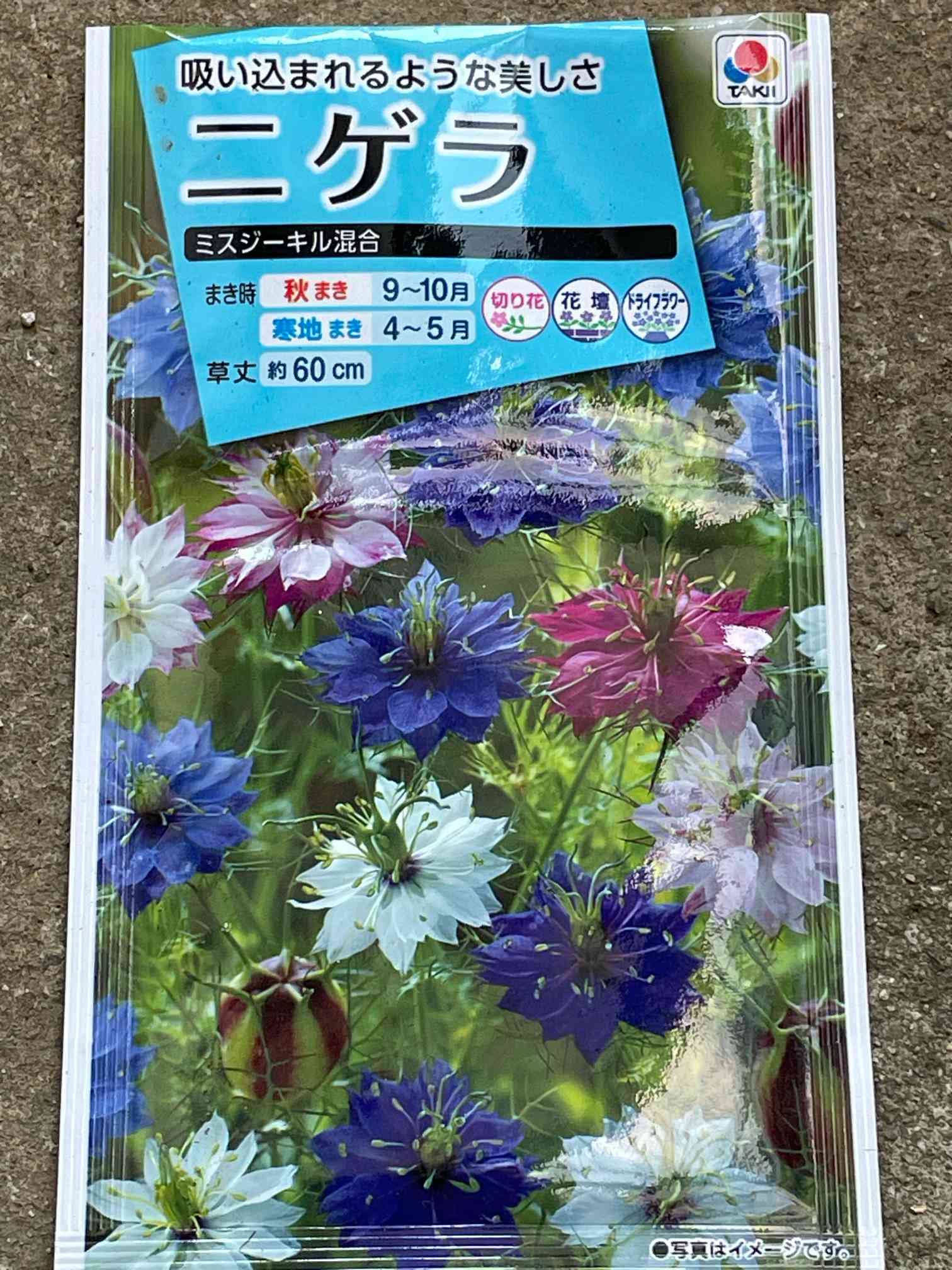 ニゲラちゃんを育ててみよう🌱 (R6.6/21 更新にて終了)｜🍀GreenSnap