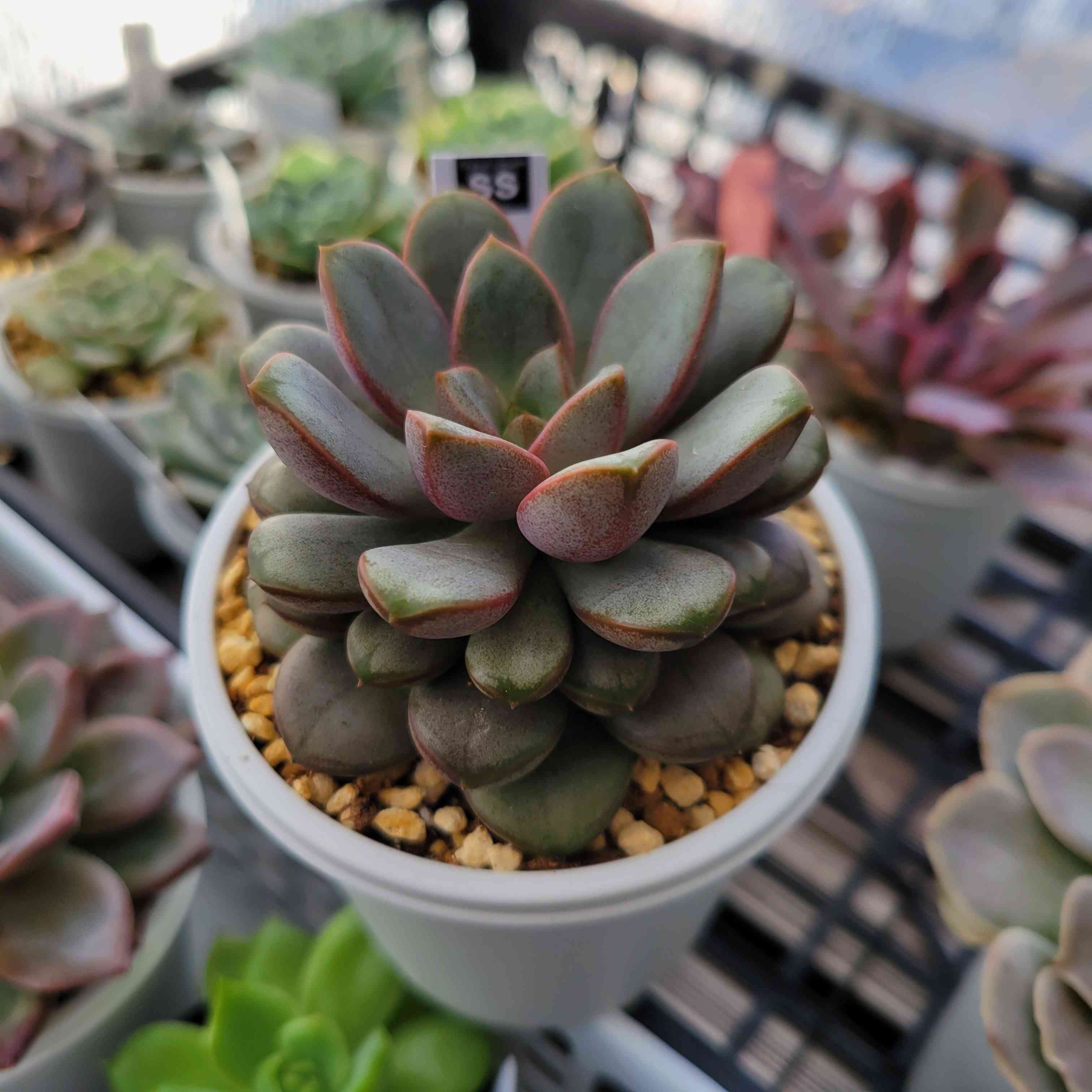 1697596943112_793211_20231018_