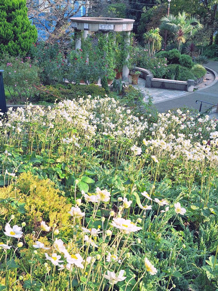 エリィさんの港の見える丘公園への投稿