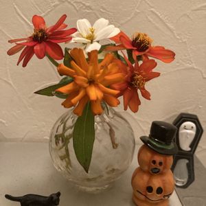 ハロウィンカラーのお花,オレンジ色の植物フォトコンテスト,バス/トイレの画像