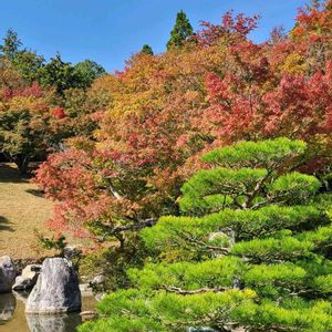 庭園,お出かけ先の画像