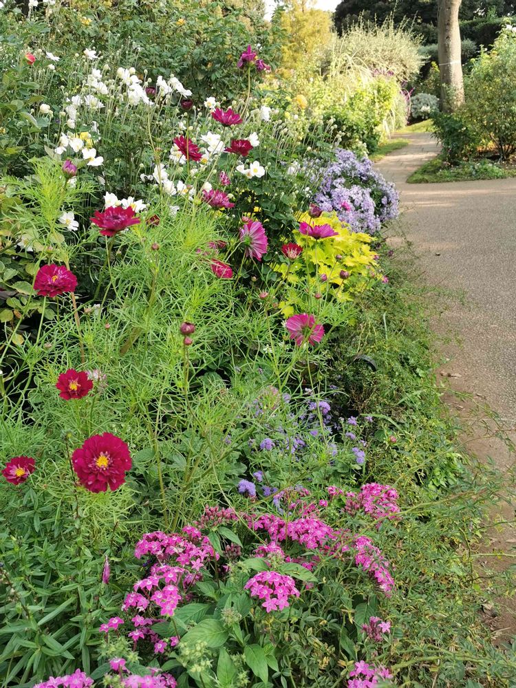 とりさんの港の見える丘公園への投稿