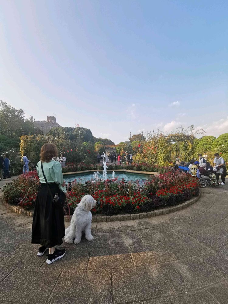 とりさんの港の見える丘公園への投稿