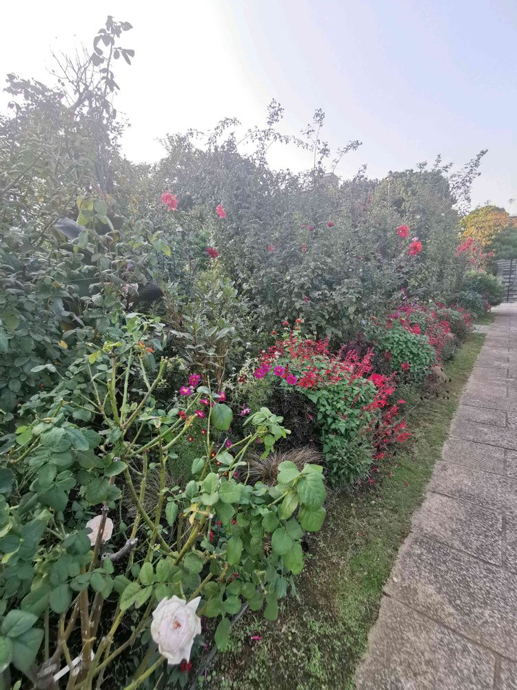 とりさんの港の見える丘公園への投稿