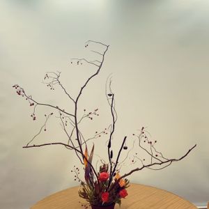 ストレリチア,ストレリチア,フラワーアレンジ,フラワーアレンジメント,枝ものの画像