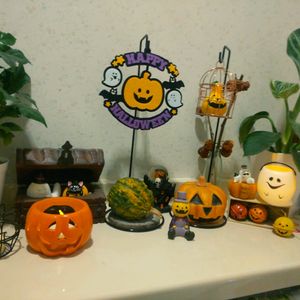 コーヒーの木,オモチャかぼちゃ,フィロテンドロン バーキン,観葉植物,癒しの植物の画像