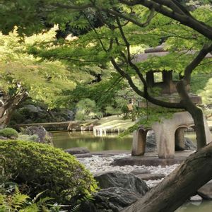 日本庭園,旧古河庭園散歩の画像