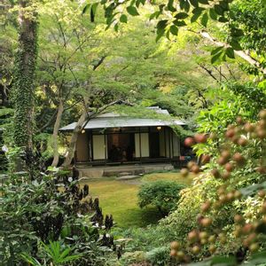 日本庭園,旧古河庭園散歩の画像