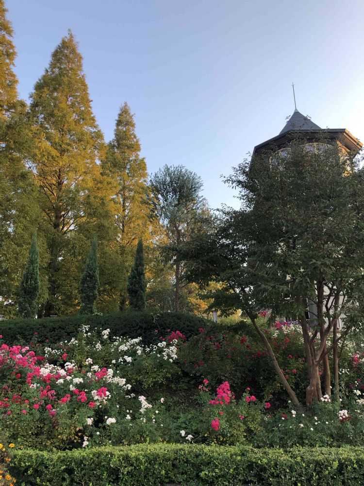 ピリチャンさんの山手イタリア山庭園への投稿