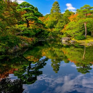 日本庭園,青空,由志園の画像