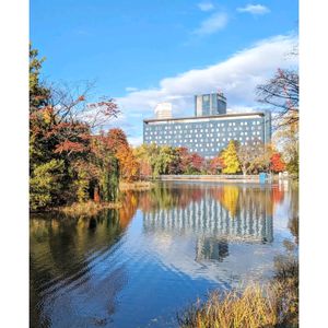 イチョウ,もみじの紅葉,豊平館（ほうへいかん）,豊平館（ほうへいかん）,日本庭園の画像