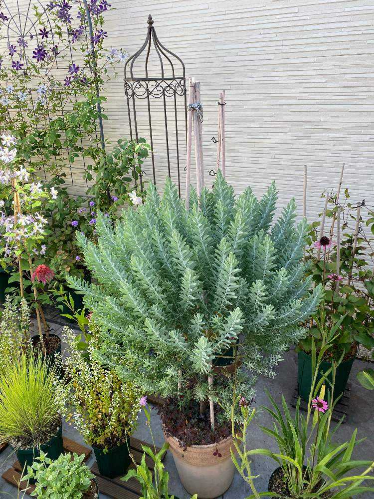 1699183306418_thum_618298_phot