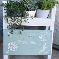 ルビーネックレス,アロマティカス,多肉植物,ガーデニング,花のある暮らしの画像