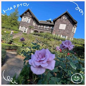 日本庭園,癒し…♡,ばら バラ 薔薇,旧古河庭園,今日も笑顔で♡の画像