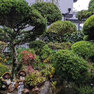 庭園,癒し空間,育てる楽しみ,イキイキ 元気,感動するの画像