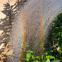 アロエ,アロエベラ,匂蕃茉莉(ニオイバンマツリ),ガーデン ブーゲンビリア,匂蕃茉莉(においばんまつり)の画像