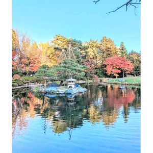 もみじの紅葉,豊平館（ほうへいかん）,日本庭園,青空,紅葉（こうよう）の画像