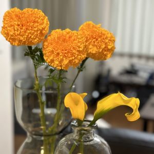 カラー,マリーゴールド,切り花,お花屋さん,花のある暮らしの画像