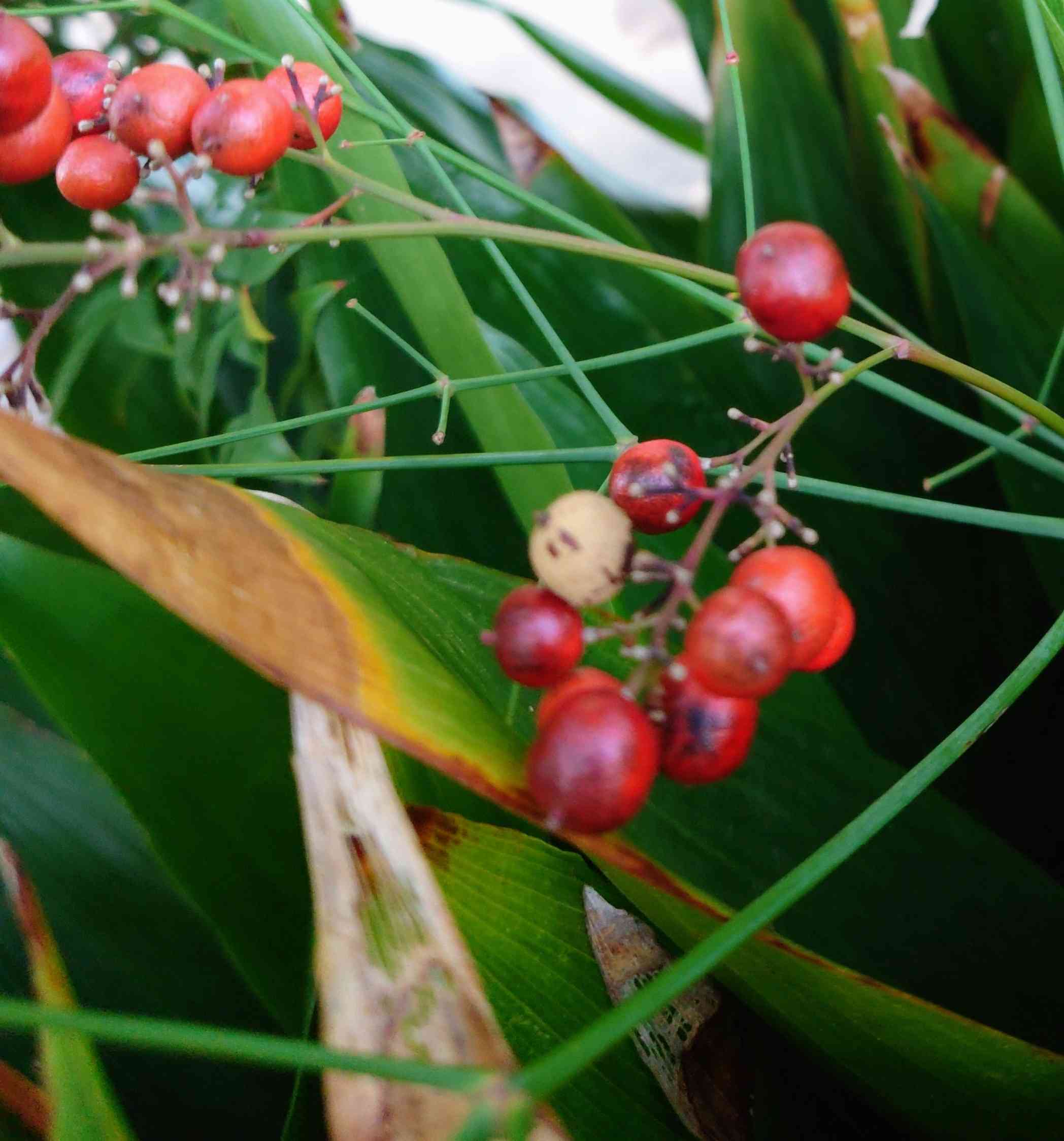 1700086544127_642280_20231116_