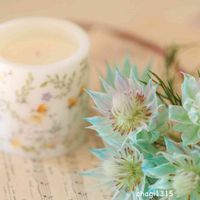 セルリア,かわいいな♡,花のある暮らし,やっぱり花が好き♡,花は癒やし♡の画像