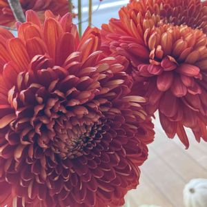 マム,アレンジ,花瓶,クリニック,お出かけ先の画像