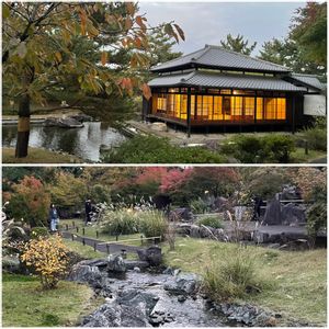 日本庭園.,日本庭園.,帰真園,帰真園,日本庭園の画像