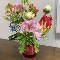 キキョウ,ブルースター,グロリオサ,フラワーアレンジメント,賑やかの画像