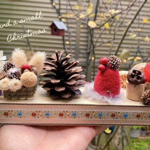 クリスマス,木の実,ドライフラワー,癒し,冬支度の画像