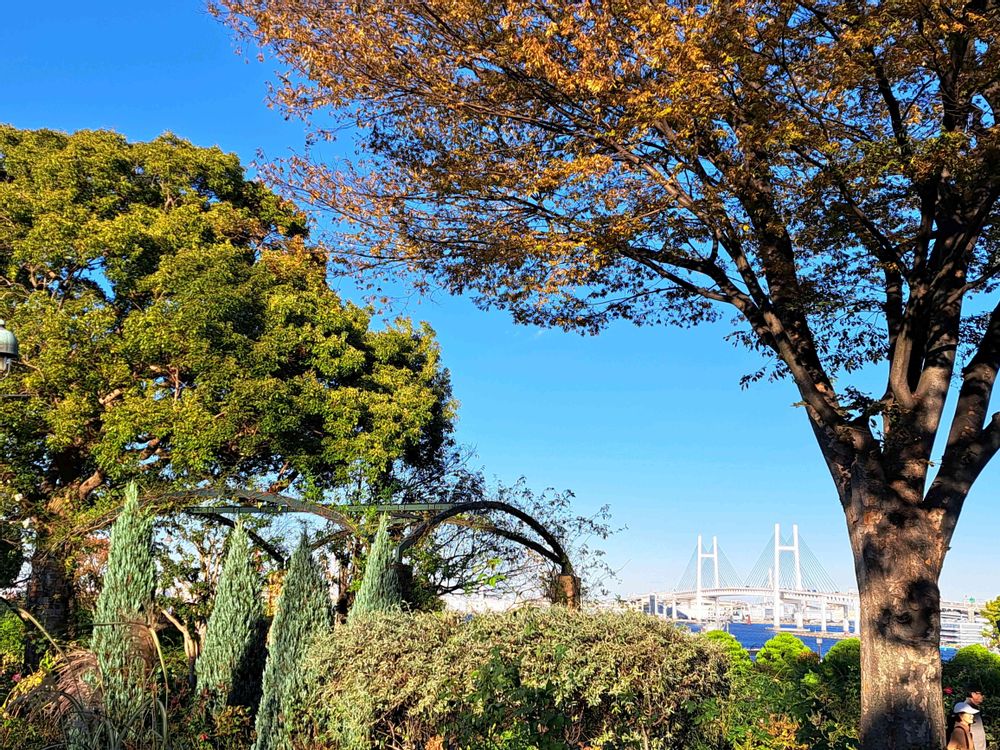 エリィさんの港の見える丘公園への投稿