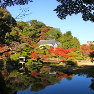 紅葉,庭園,紅葉（こうよう）,おでかけ先,リフレクションの画像