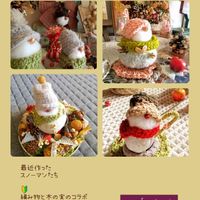 トベラ,ナンテン,プラタナス,ナンキンハゼ,ブッダ･ナッツの画像